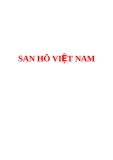 San hô Việt Nam