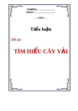 Tiểu luận: Tìm hiểu cây vải