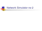 Network Simulator ns-2