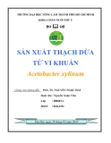 Đề tài "sản xuất thạch dừa từ vi khuẩn"