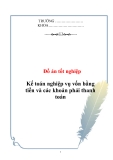 Đồ án tốt nghiệp: Kế toán nghiệp vụ vốn bằng tiền và các khoản phải thanh toán tại Công ty Mặt Trời Việt