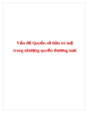 Vấn đề quyền sở hữu trí tuệ trong nhượng quyền thương mại