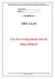 Tiểu luận: "Các rủi ro trong thanh toán tín dụng chứng từ"