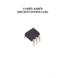 Vi điều khiển (Microcontroller)