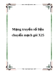 Mạng truyền số liệu chuyển mạch gói X25