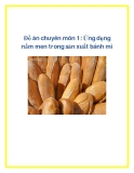 Đồ án chuyên môn 1: Ứng dụng nấm men trong sản xuất bánh mì
