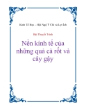 Bài thuyết trình  "Nền kinh tế của những quả cà rốt và cây gậy"