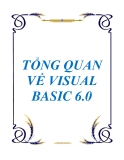 TỔNG QUAN VỀ VISUAL BASIC 6.0