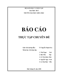 Báo cáo thực tập chuyên đề " Vật liệu Ruby Al2O3 : Cr3+ nhâm tạo  "