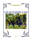 SẢN XUẤT RƯỢU VANG