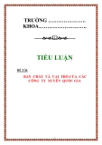 TIỂU LUẬN VỀ :“ BẢN CHẤT VÀ VAI TRÒ CỦA CÁC CÔNG TY XUYÊN  QUỐC GIA”