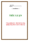 Tên tiểu luận: 'Công nghiệp hoá - hiện đại hoá nông nghiệp nông thôn ở nước ta hiện nay'