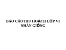 BÁO CÁO THU HỌACH LỚP VI NHÂN GIỐNG