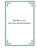 Tiểu luận "Phân tích hoạt động kinh doanh Bibica"