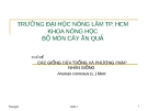 Các giống dứa trồng và phương pháp nhân giống