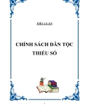 Tiểu luận: Chính sách dân tộc thiểu số