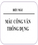 Một số loại công văn thông dụng