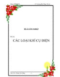 Đề tài " Các loại khí cụ điện "