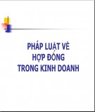 Bài giảng Pháp luật về hợp đồng trong kinh doanh