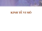 Tổng quan về kinh tế vi mô