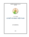 Giáo trình Cơ sở văn hóa Việt Nam - Lê Chí Dũng