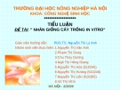 Tiểu luận: Nhân giống cây trồng in vitro