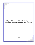 Đề tài “Tự do hóa trong EU và khả năng thâm nhập thị trường EU của hàng hoá Việt Nam"