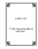 Đề tài " triển vọng hàng điện tử Việt Nam "