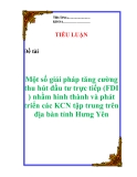 Tiểu luận: “Một số giải pháp tăng cường thu hút đầu tư trực tiếp (FDI ) nhằm hình thành và phát triển các KCN tập trung trên địa bàn tỉnh Hưng Yên ”