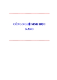 Công nghệ sinh học về nano