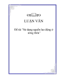 Đề tài "Sử dụng nguồn lao động ở nông thôn"