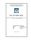 Đề tài " HOẠT ĐỘNG ĐẦU TƯ SẢN XUẤT KINH DOANH TẠI MỸ CỦA CÔNG TY BÁNH KẸO KIDOCO "