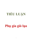 Tiểu luận "Phụ gia giò lụa"