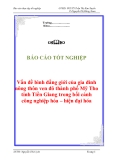 Báo cáo tốt nghiệp “Vấn đề bình đẳng giới của gia đình nông thôn ven đô thành phố Mỹ Tho – tỉnh Tiền Giang trong bối cảnh công nghiệp hóa – hiện đại hóa”