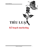 Tiểu luận " Kế hoạch marketing "