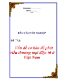 Báo cáo tốt nghiệp: "Vấn đề cơ bản để phát triển thương mại điện tử ở Việt Nam "