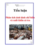 Tiểu luận "Phân tích tình hình chế biến và xuất khẩu cá tra"