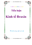 Tiểu luận Kinh tế Braxin