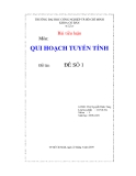 TIỂU LUẬN MÔN TOÁN CHUYÊN ĐỀ QUY HOẠCH TUYẾN TÍNH " Xây dựng một khẩu phần ăn đảm bảo được yêu cầu về m loại chất dinh dưỡng,với giá rẻ nhất "