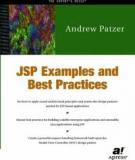 JSP Examples and Best Practices by Andrew Patzer