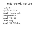 Điều hòa biểu hiện gen sửa