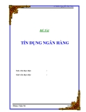 ĐỀ TÀI : Tín dụng ngân hàng