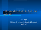 Liên kết kinh tế và các định chế quốc tế_Chương 6: Lý thuyết và chính sách thương mại quốc tế