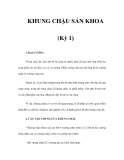 KHUNG CHẬU SẢN KHOA (Kỳ 1) 