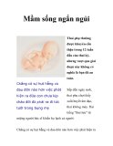 Mầm sống ngắn ngủi 