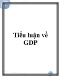 Tiểu luận về GDP