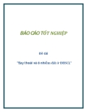 Báo cáo tốt nghiệp đề tài  “Suy thoái và ô nhiễm đất ở ĐBSCL”