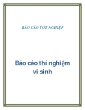 Báo cáo thí  nghiệm vi sinh