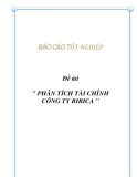 Đề tài " PHÂN TÍCH TÀI CHÍNH CÔNG TY BIBICA "