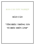 BÁO CÁO "TÌM HIỀU THÔNG TIN VỀ BIỂU DIỄN ẢNH"